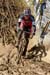 cxworlds
