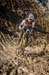 cxworlds
