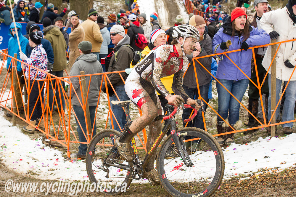 cxworlds