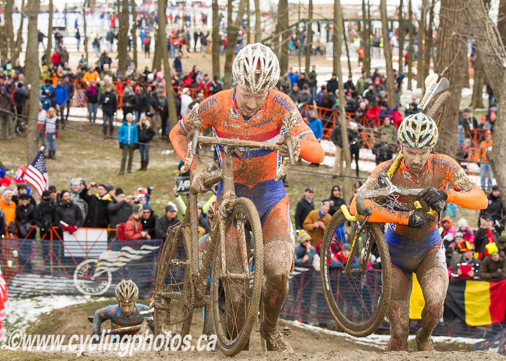 cxworlds