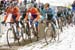 cxworlds