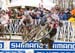 cxworlds
