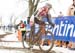 cxworlds