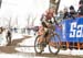 cxworlds