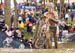 cxworlds