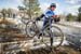 cxworlds