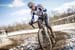 cxworlds