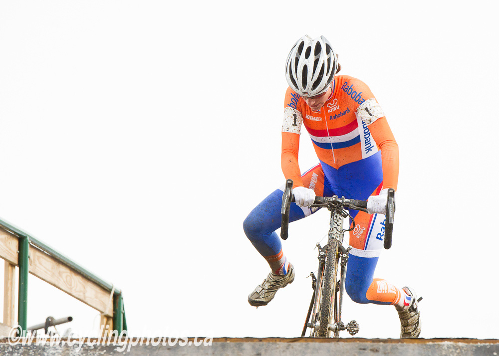 cxworlds