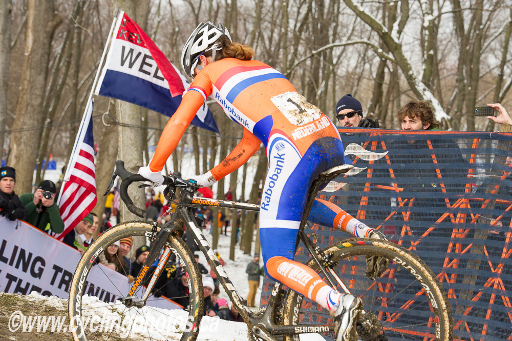 cxworlds