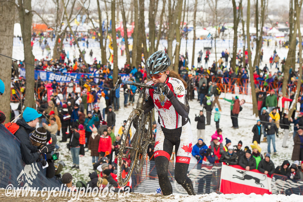 cxworlds