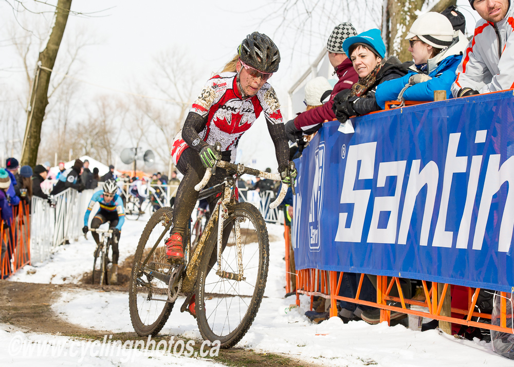 cxworlds