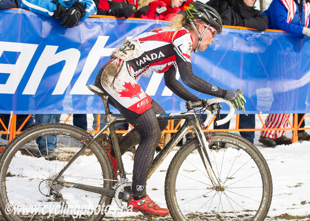 cxworlds
