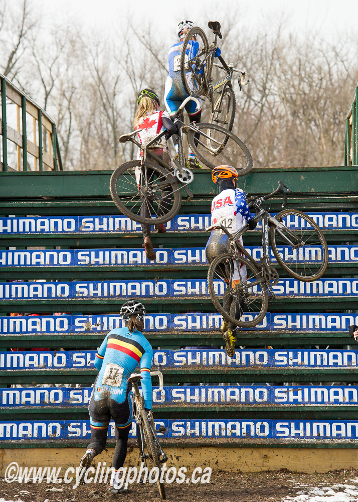 cxworlds
