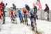 cxworlds