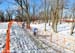 2013 Cyclo-cross World Championships