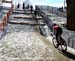 2013 Cyclo-cross World Championships