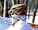 2013 Cyclo-cross World Championships