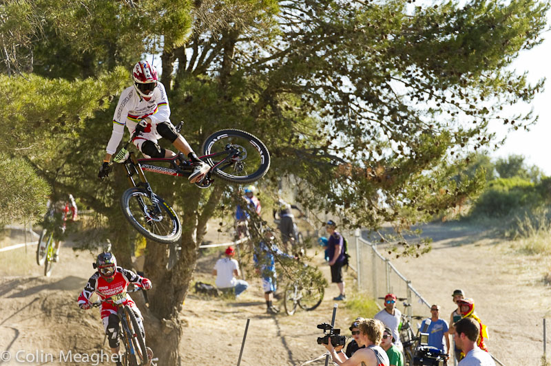 Sea Otter 2013