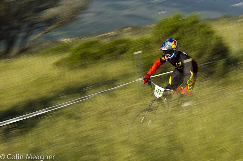 Sea Otter 2013