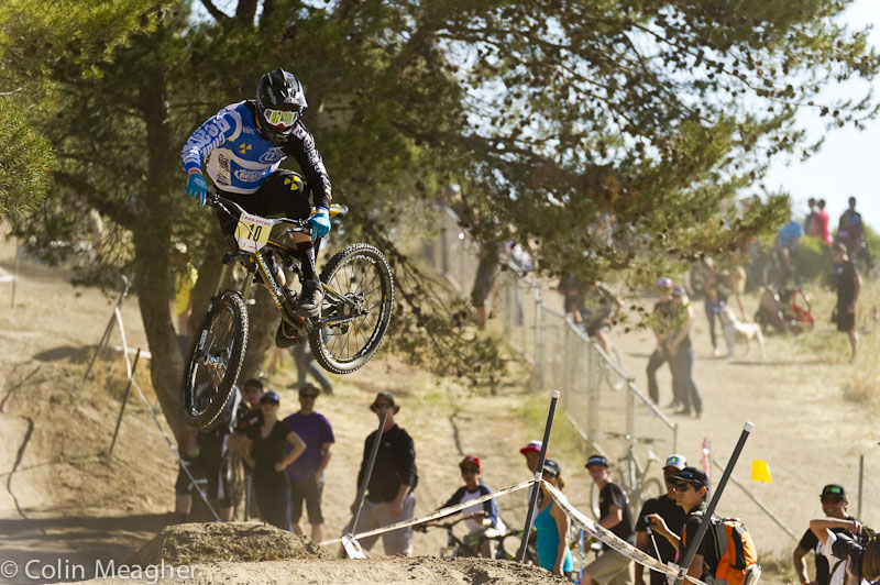 Sea Otter 2013