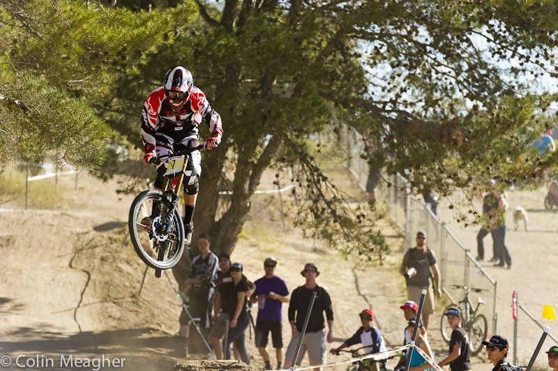 Sea Otter 2013