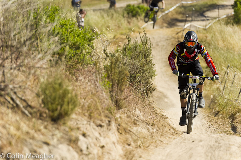 Sea Otter 2013