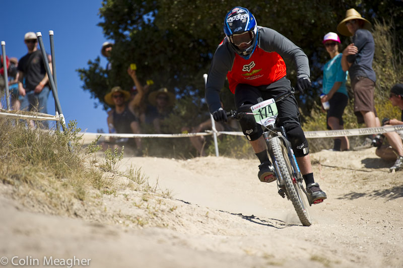 Sea Otter 2013