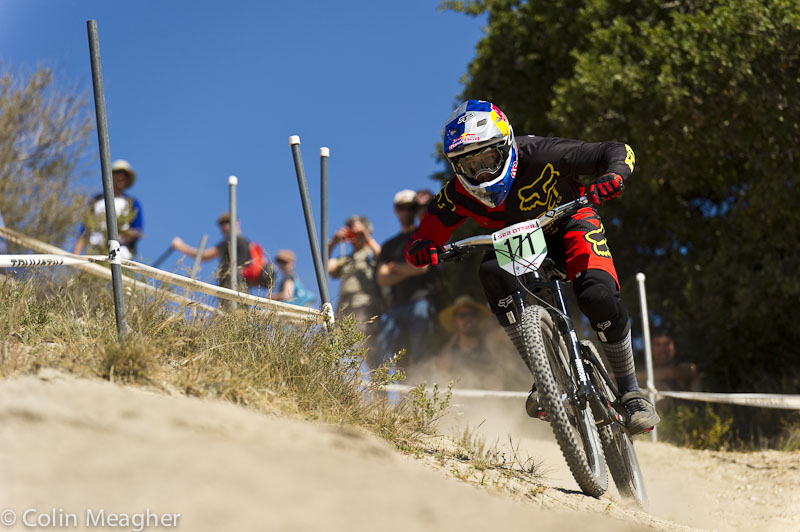 Sea Otter 2013