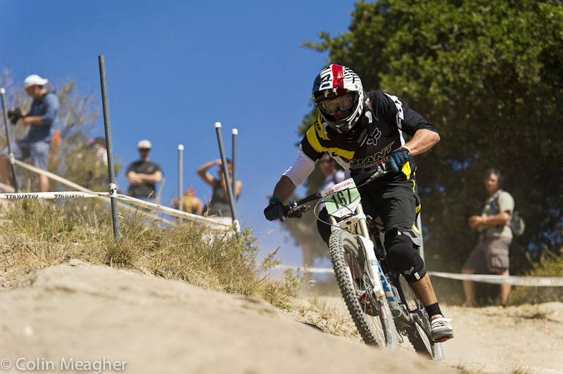 Sea Otter 2013