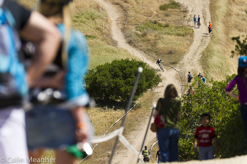 Sea Otter 2013