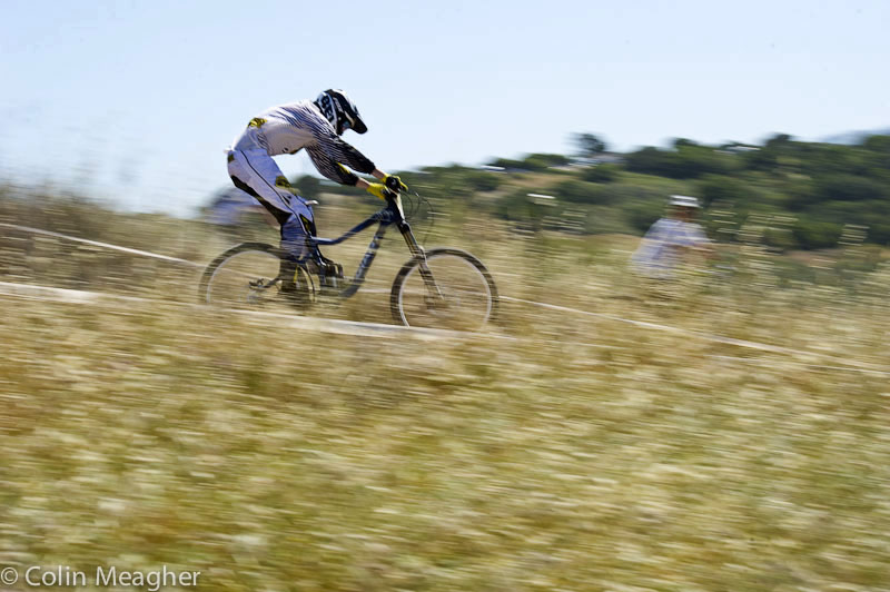Sea Otter 2013