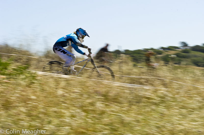 Sea Otter 2013