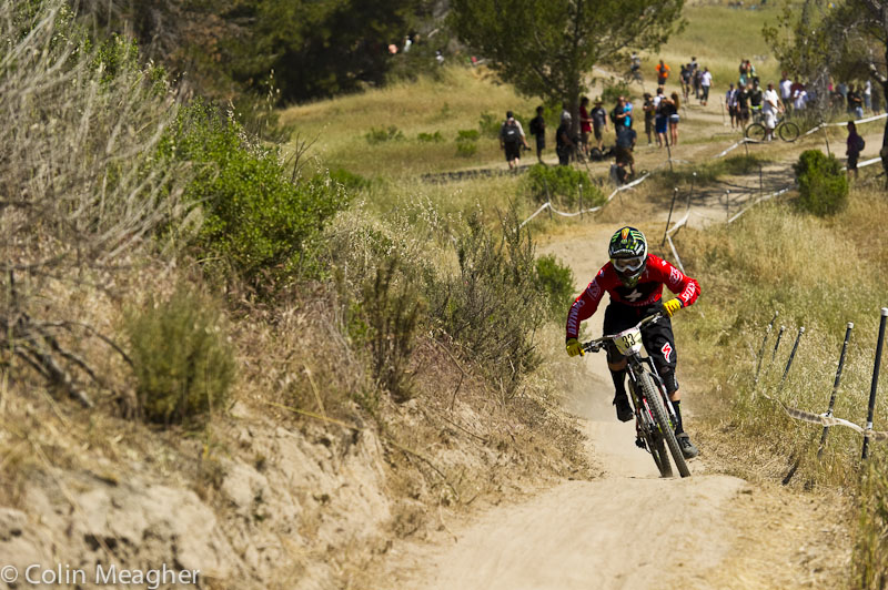 Sea Otter 2013