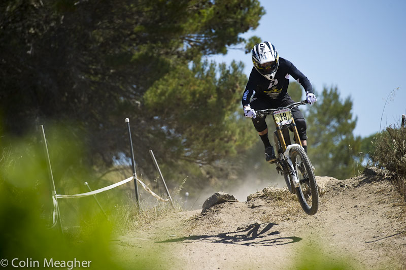 Sea Otter 2013