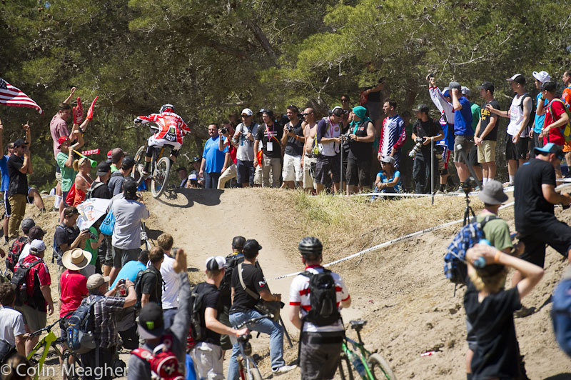 Sea Otter 2013