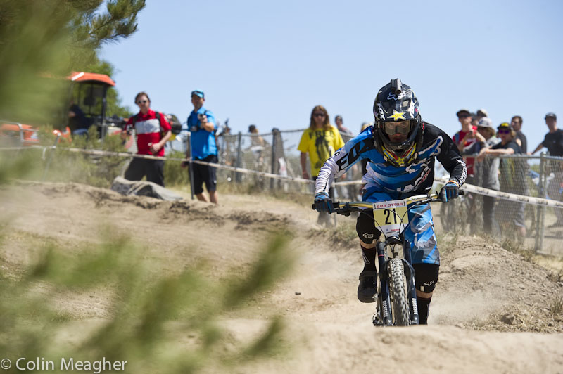 Sea Otter 2013