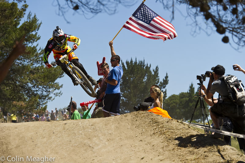 Sea Otter 2013