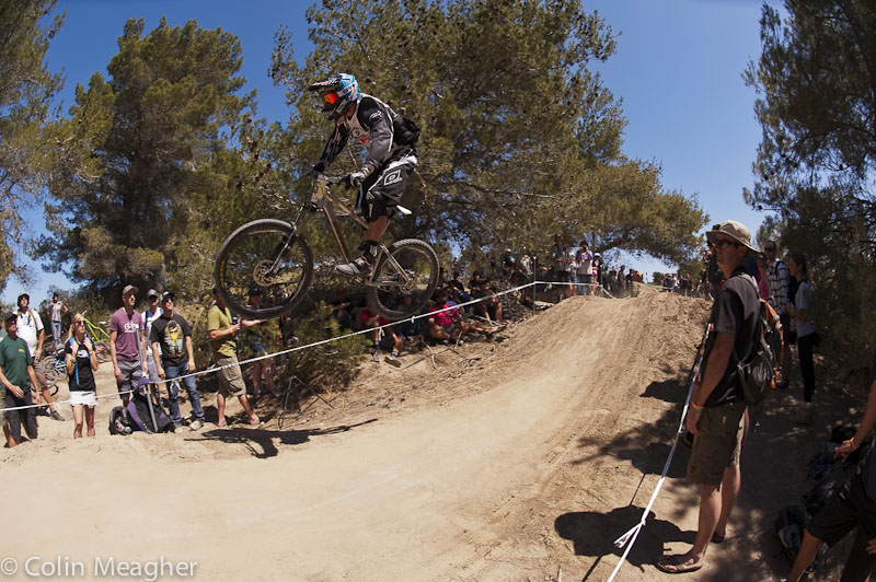 Sea Otter 2013
