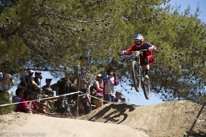 Sea Otter 2013