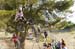 Sea Otter 2013