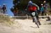 Sea Otter 2013