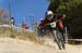 Sea Otter 2013