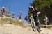 Sea Otter 2013