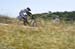 Sea Otter 2013