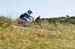Sea Otter 2013
