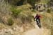 Sea Otter 2013