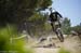 Sea Otter 2013