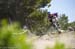 Sea Otter 2013