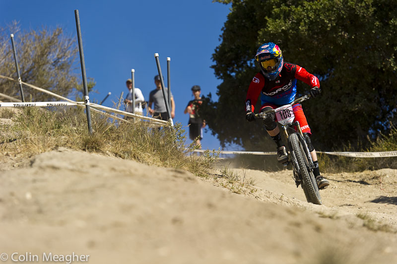 Sea Otter 2013