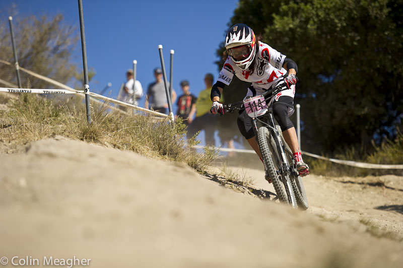 Sea Otter 2013